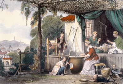 Zerstörung der Puppen und Abwickeln der Kokons, aus 